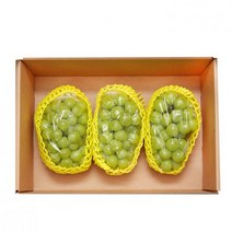 샤인머스켓청포도2kg
