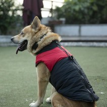 켈리몰 강아지패딩/대형견옷/겨울옷/패딩조끼/중형견옷/진돗개옷/중형견패딩/진돗개패딩/큰개옷/개패딩, 그린/L