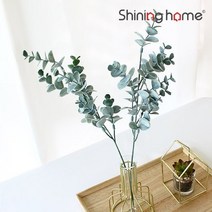 이너스 조화 블랙잭 유칼립투스 1P, 그린