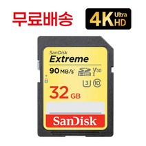샌디스크 4K 파나소닉 루믹스 DMC-GH4 메모리 32기가 SD카드, 32GB