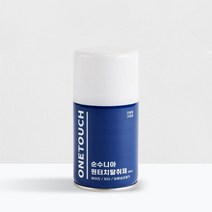 자동차 실내 에어컨 냄새 제거 탈취제 160ml, 없음