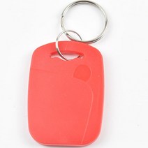 50pcs IC + 13.56MHZ 변경 가능 쓰기 재기록 복합 키 태그 Keyfob 듀얼 칩 주파수 T5577, 02 빨간