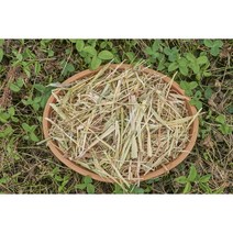 손질 연맥 건초 가루제거 슈퍼 프리미엄 500g/1kg 토끼 기니피그 사료, 티모시 1kg