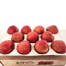 산지직송 당도보장 소백산 고랭지 영주 사과 홍로 정품(9월 24일 오전9시 주문건까지 추석전에 받을 수 있습니다.), 1박스, 소백산 홍로 중과 3kg