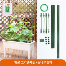 킹마이크로 플라스틱 항균 고각종채반+등나무걸이 대 2세트 수경재배 베란다 스마트팜 채소 야채 식재용, 단품