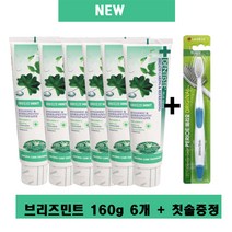 [공식몰] 덴티스테 치약 브리즈민트 + 칫솔 구성 - 무색소 무불소 입냄새 구취 제거, 4. 본품160g 6개 + 이중모 칫솔