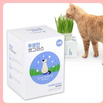 고양이간식 영양간식 투명한 캣그라스 소형, 상품선택