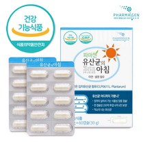 파마젠 유산균 200억 프로바이오틱스 아연 셀렌 김치유산균 60캡슐 온 가족 패밀리 장 건강 신바이오틱스 프리바이오틱스 비피더스 변비 유해균 억제 식물성캡슐, 500mg, 1박스