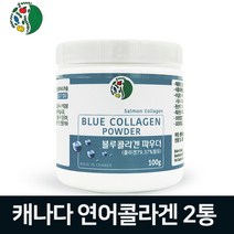 캐나다 저분자 피쉬콜라겐 가루 먹는 어류콜라겐 분말 100프로 수용성 생선콜라겐 트리 펩타이드 연어 명태 피시콜라겐 가수분해 파우더 히알루론산 100% 연어추출 블루 콜라겐 고함량 효능, howoon_ 2개, .