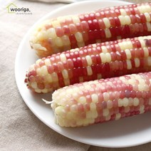 우리가스토리 탱글탱글 홍찰 냉동 삶은 찰옥수수 40개(10~12cm내외), 6.2~6.4kg 40개, 1박스