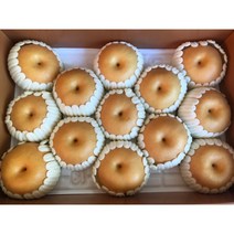 프리미엄 고당도 나주 신고배 25과 7.5kg 15kg 선물세트 선물용배 아삭아삭배 명품배 품질보장, 신고배 15kg (21~24수)