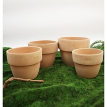 도토리토분 백토분 화이트토분 앙비까사 분갈이, 토분색