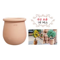 금란의 정원 국산토분 3번 1개