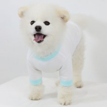 럭키페터 링거 강아지 옷 소형견 대형견 티셔츠 화이트 시리즈, 화이트/민트
