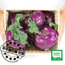 우수농산물 GAP 인증 농장직송 당일수확 제주 햇 콜라비 특대, 특품 콜라비 10kg, 1개