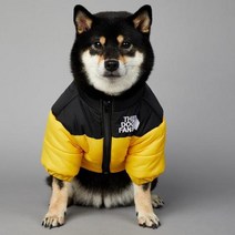 2023 SUPREPET패딩 개 겨울 옷 따뜻한 방풍 솔리드 코트 코튼 디자이너 대형 강아지 액세서리, YELLOW+XXL