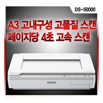 엡손 EPSON A3 평판 칼라 스캐너 DS50000