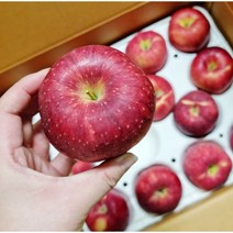 햇 경북 부사사과 5kg 가정용사과 고당도 아삭한사과 가정용/선물용, 5kg(25~28과내외), 1개