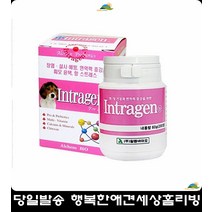 영양부족비실비실반려견체력충전돕는영양제 노령견영양제 강아지약먹이기