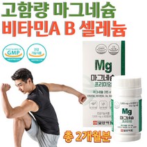 고함량 고용량 마그네시움 비타민AB 마그네슘 영양제