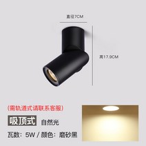 가정용드기 LED 노출이 없는 스핀 스포트라이트 복장가게 무 주등 COB 엣지 지도함 궤도 전시장 빛을 4539502893, 블랙 엣지 5W -내추럴 -푸루이 칩