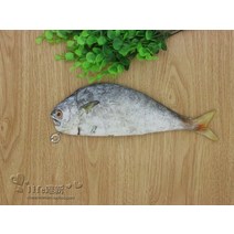 신기한필통 특이한 중학생 인형 필통 크리에이티브 피쉬백, 05 긴생선