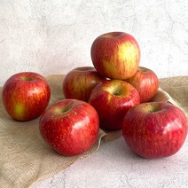 경북 부사 사과 정품 10kg, 부사 사과 정품 10kg 39-43과, 상세설명 참조