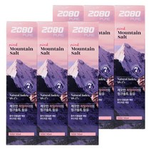 (6개) 애경 2080 히말라야 마운틴 솔트치약 핑크 민트 120g, 6개