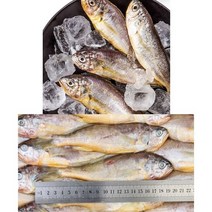 제주 참조기 48미내외 냉동 참조기 신선한 구이 조림 찌개 매운탕등 활용, 1세트, 4kg