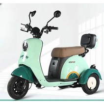 삼륜 스쿠터 여성 노인 전동 오토바이 바이크 3륜, 디럭스모델 (48V23A 킹 배터리)