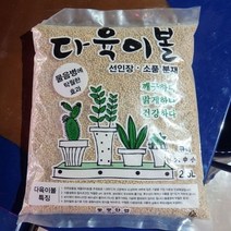 베이지 다육이볼 배수토 어항바닥재 2.5L 화초가꾸기, 3mm 중립