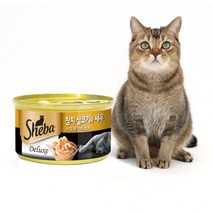 고양이 간식 쉬바캔 참치살코기와 새우 85g 영양성분 좋은 습식사료 고양이 통조림 85g x 1개