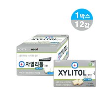 무설탕껌 자일리톨그린 60 16g 12갑 (24년 5월) 당뇨환자 충치 치매 예방 약국 금연 보조 기능성 껌