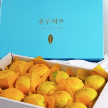 제주직송 만감류 고당도 제주귤 달달한 황금향 선물용 2.5kg 4.5kg 구성, 선물용 중 (2.5kg 8~13과)