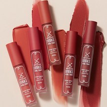 투쿨포스쿨 누아즈 베일 틴트 4.5g_(1호페어리코랄)