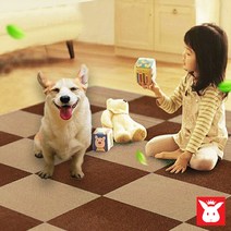 닥터제이슨 애견 슬개골보호 미끄럼방지매트 강아지 안전바닥매트, 아이보리, 아이보리