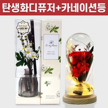 탄생화 디퓨저 선물세트 3월 탄생화 데이지+카네이션 무드등 어버이날 부모님 선생님 엄마 장모님 생신 프리저브드 플라워 생일 집들이 선물 실내 디퓨저 실내방향제 디퓨저, 라일락, 레드, 500ml
