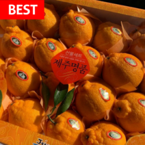 [러뷰팜] 제주 한라봉 3kg 5kg 고당도, (선물용 일반포장) 한라봉 대과 5kg 16~21과