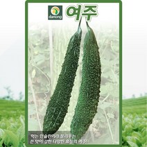 여주 씨앗 여주 씨 종자 10립