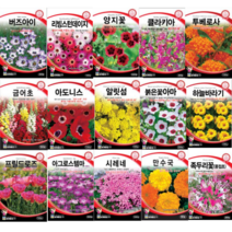 봄꽃 겹꽃 아마 부용화 아마 수국 세이지 아욱 플록스 국화 접시꽃 데이지 양지꽃 나팔꽃 사루비아 풍접초 투베로사 아도니스 클라키아 채송화 장미 봉선화 해바라기 꽃잔디 씨앗