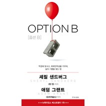 옵션 B:역경에 맞서고 회복탄력성을 키우며 삶의 기쁨을 찾는 법, 와이즈베리, 셰릴 샌드버그, 애덤 그랜트