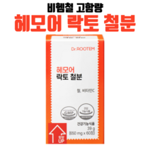 닥터루템 헤모어 락토 철분 비동물성 비타민C 비헴철, 1개