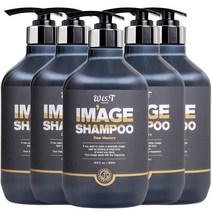 위스티 이미지 향기 좋은 퍼퓸 샴푸 디어메모리 500ml, 5개