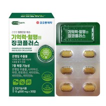 혈액순환 징코플러스 30정 은행잎추출물 혈행개선에 도움