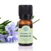 로즈마리 아로마테라피 마사지 에센셜 오일 12ml - 2022975EA, 쿠팡 1, 쿠팡 본상품선택
