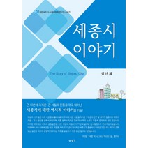 세종시 이야기, 보성각, 김안제 저