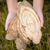 국산 칡 편갈근 200g 갈근 칡뿌리 말린칡 차 효능 약초 한방재료 한약재 한방차, 12QQ_국산 칡 편갈근 200g