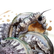전복 / 완도전복 / 해미수산 / 실속형 사이즈 / 1kg, 11-12미, 1개
