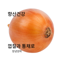 양파즙30포 혈관팔팔 관절팔팔 혈액순환 감기 당뇨 면역력강화 엄마 아빠선물 콜레스트롤, 500포
