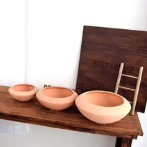 스칸디아모 식재 사무실화분 매장인테리어 식물오브제 홈스타일링 집꾸미기 홈가드닝